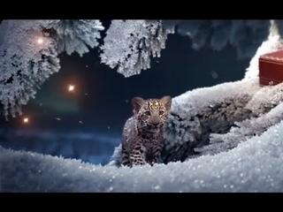 CGI VFX Spot HD: "Winter Tale" for Cartier  by - Unit Image